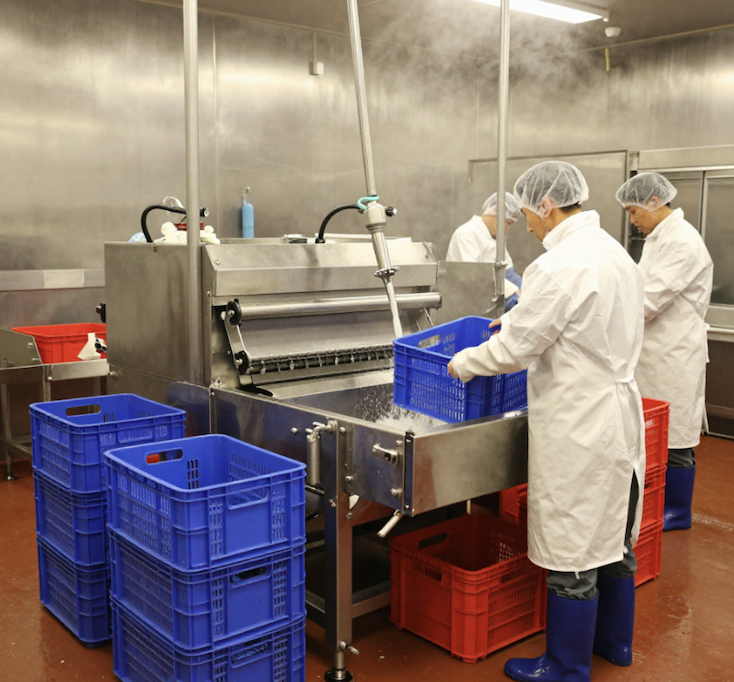 Crate Washer